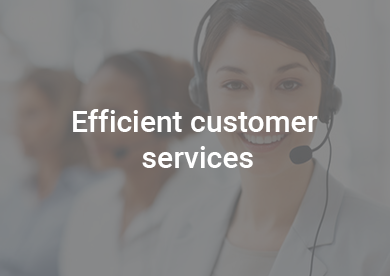 Efficient Customer Services